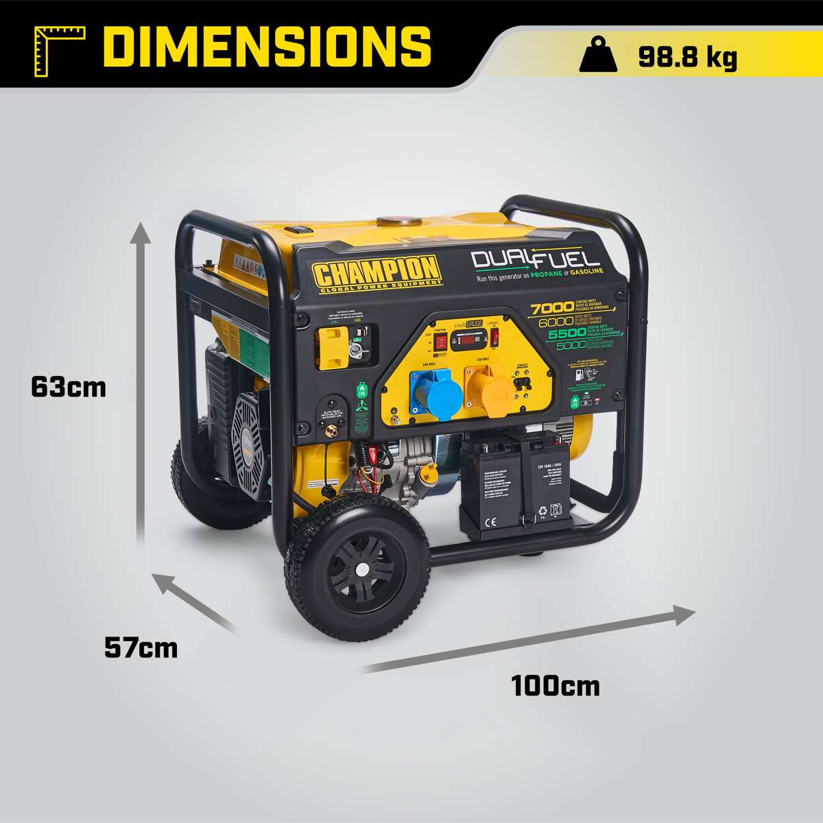 Champion 7000 Watt LPG Dual Fuel Generator
