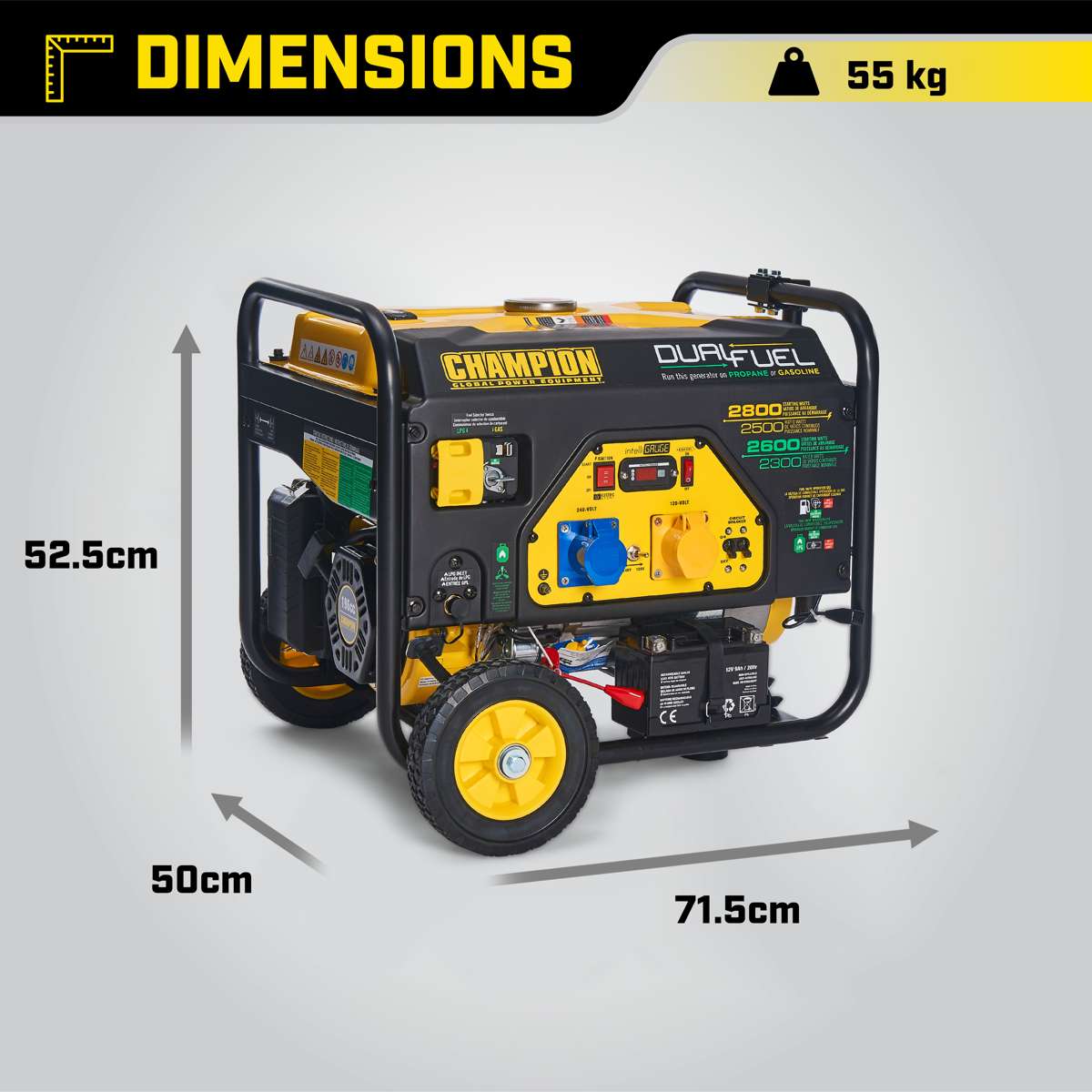 Champion 2800 Watt LPG Dual Fuel Generator
