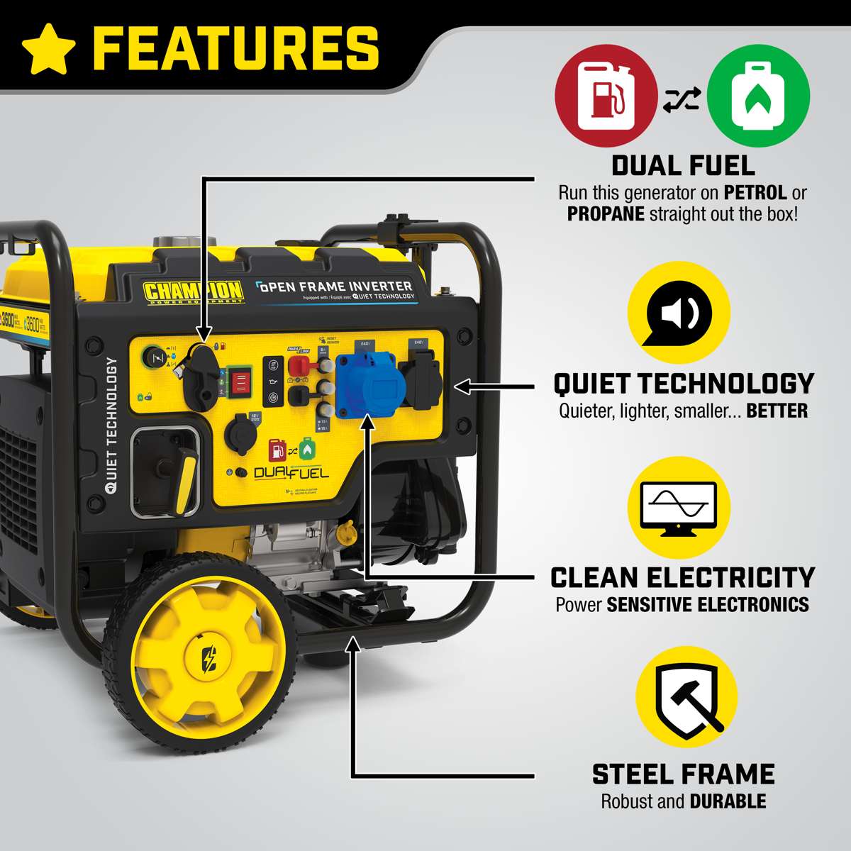 Champion 3600 Watt LPG Dual Fuel Inverter